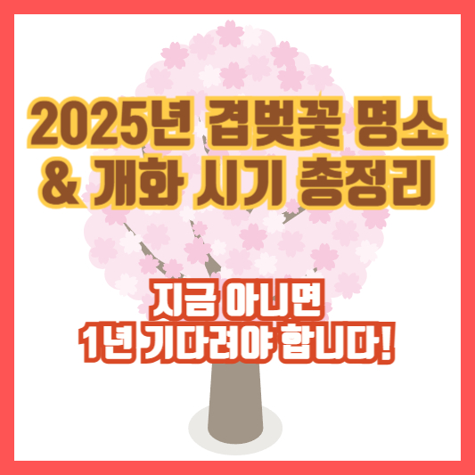 [2025년 겹벚꽃 명소 &amp; 개화 시기 총정리] 지금 아니면 1년 기다려야 합니다!