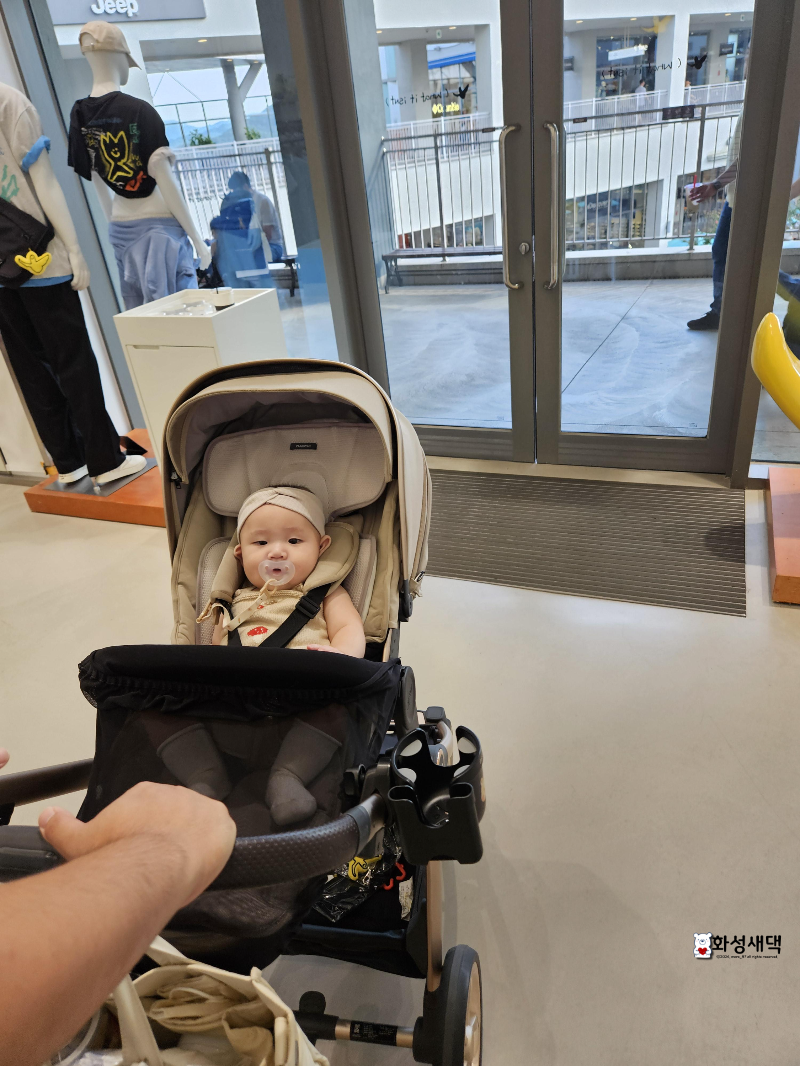 와릿이즌-와키윌리