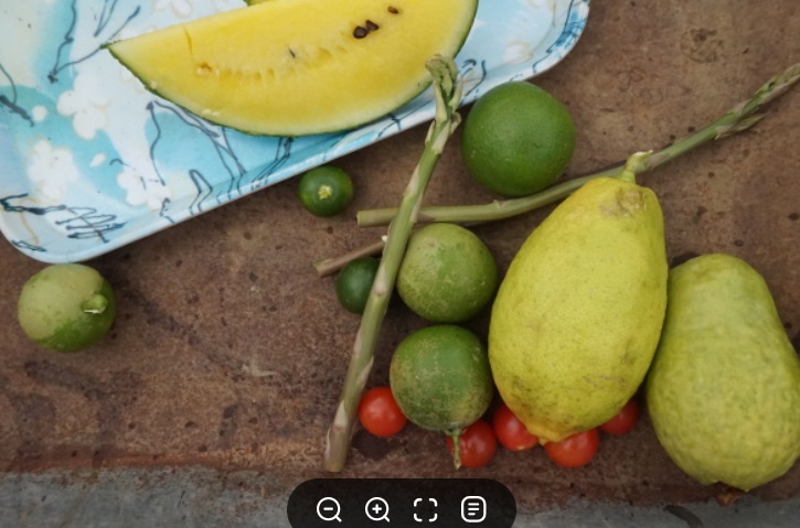 동네한바퀴-하동-열대과일-농장-박철경