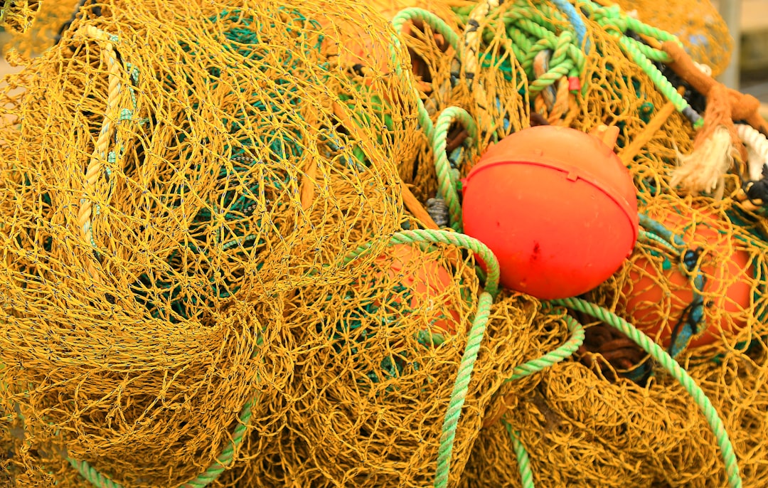 Netting