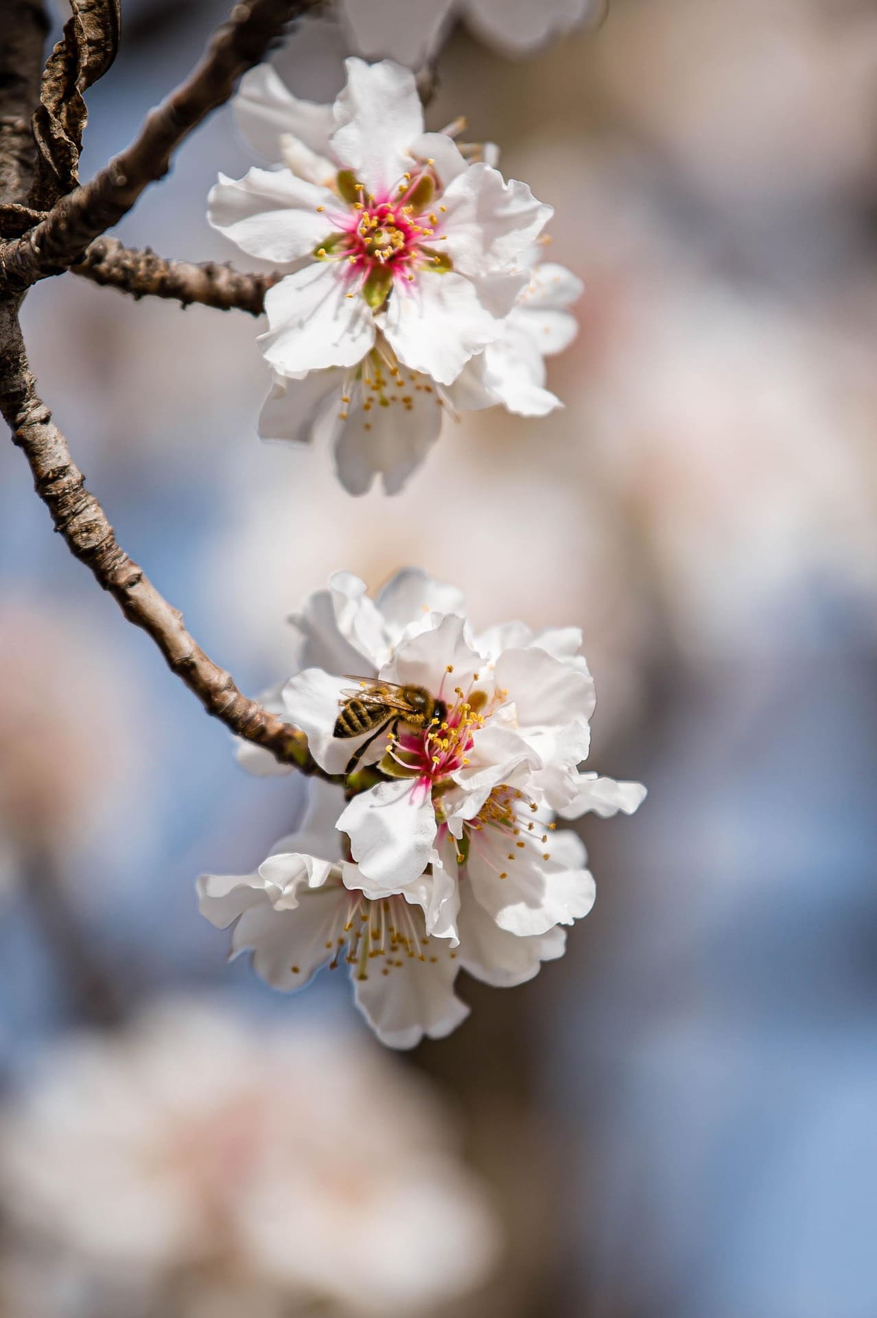 보문단지 실시간 상황
