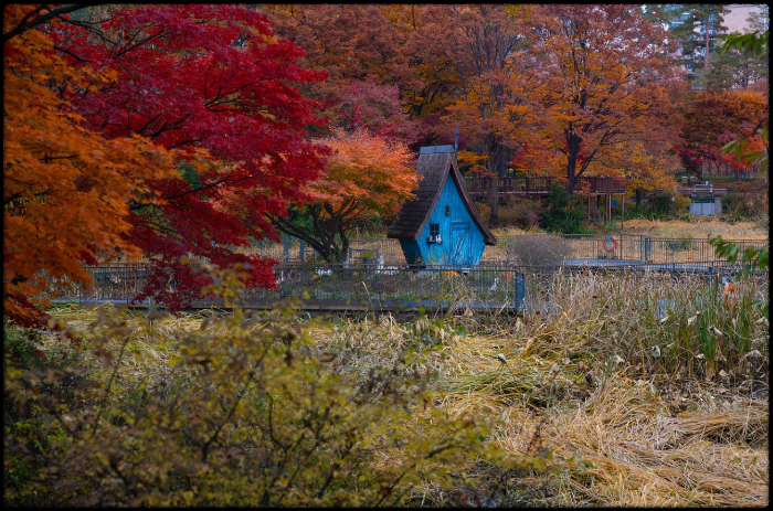 아이와 걷기 좋은 공주 가을 코스 (금강공원,역사체험관,공산성)