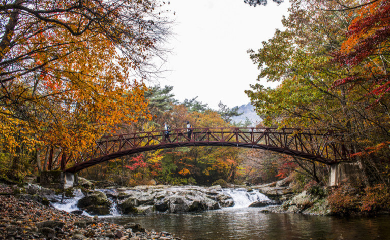 무주 덕유산 구천동 계곡