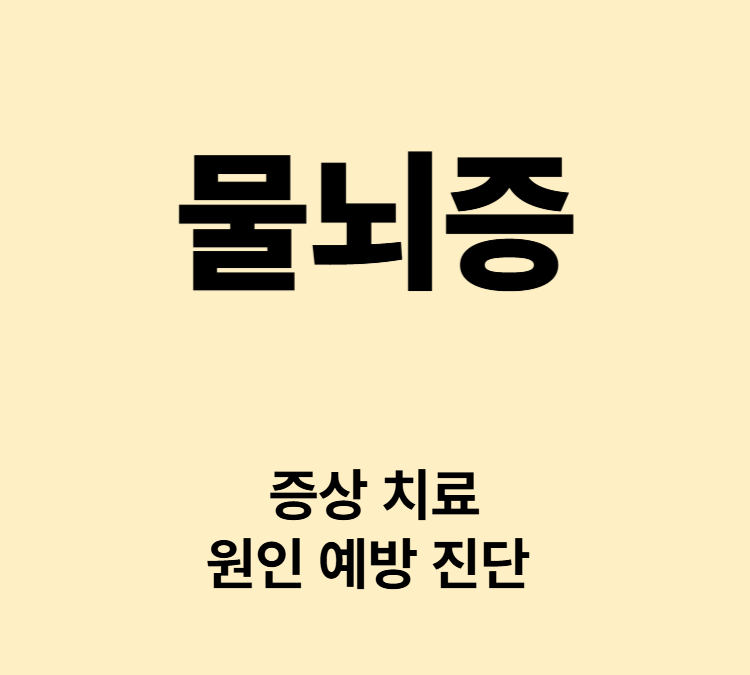 두통 구역질 구토 보행장애 운동둔화 증상 물뇌증 치료