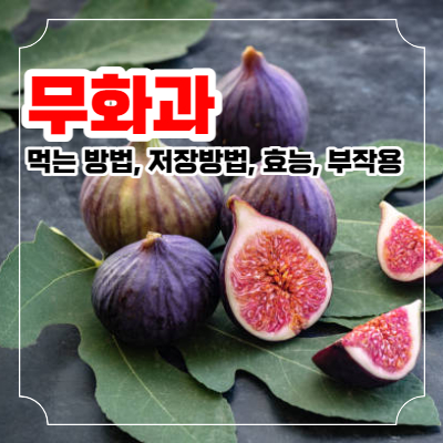 무화과 사진