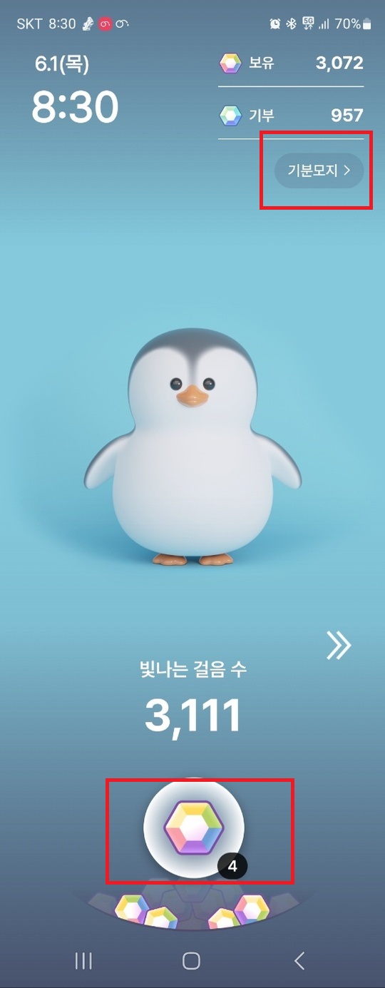 기분모지