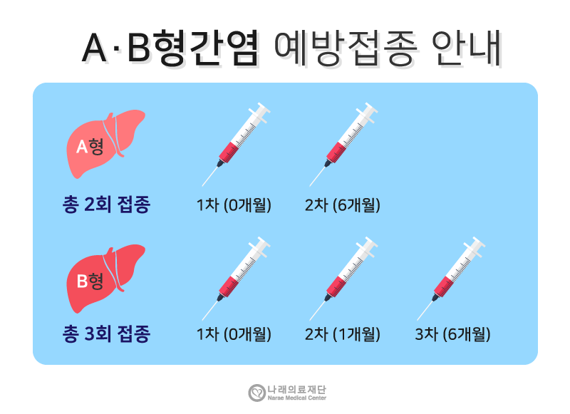 B형간염 예방접종 가격 비용 싼곳 저렴한곳 찾기 조회