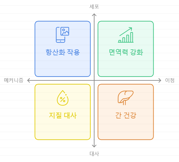 세사민 효능