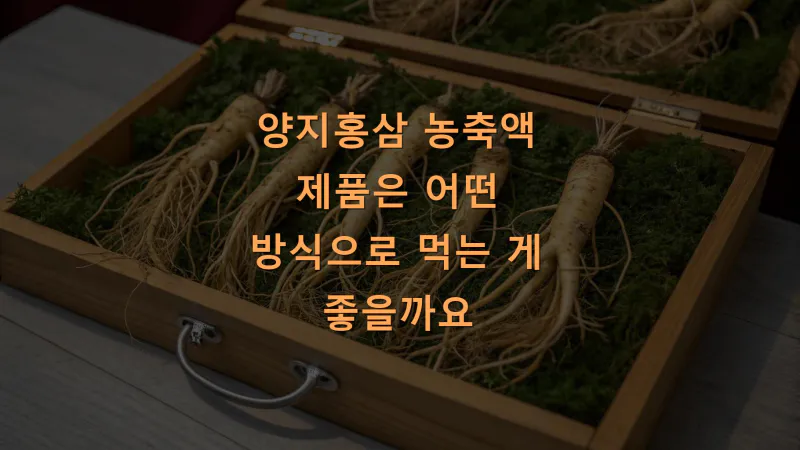 양지홍삼 농축액 제품은 어떤 방식으로 먹는 게 좋을까요