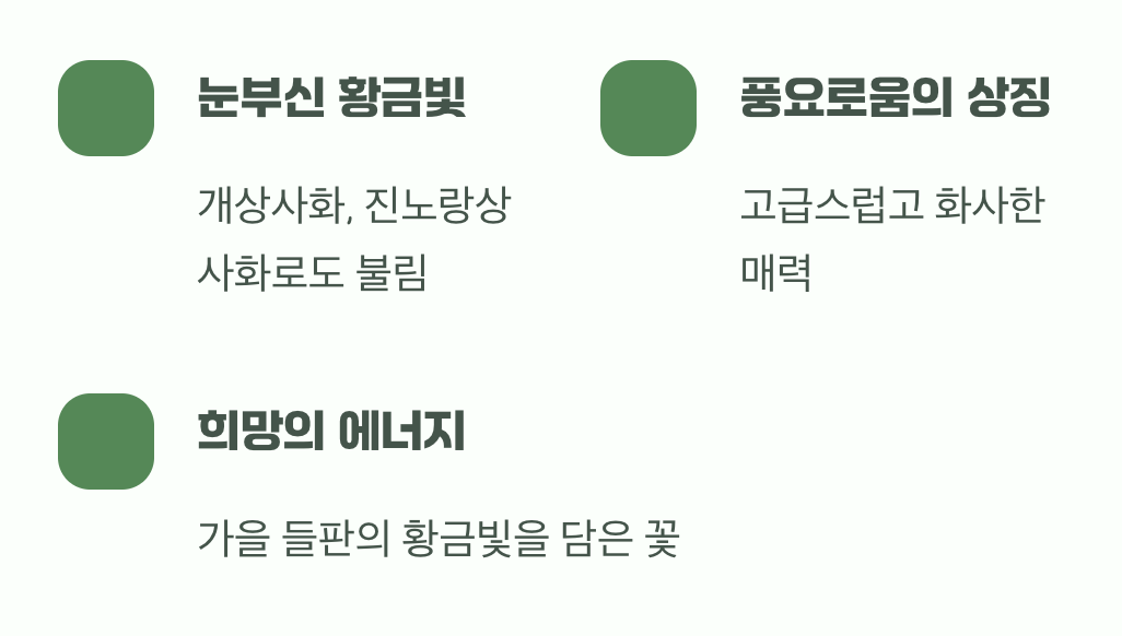 황금빛으로 물드는 가을&amp;#44; 노란 상사화