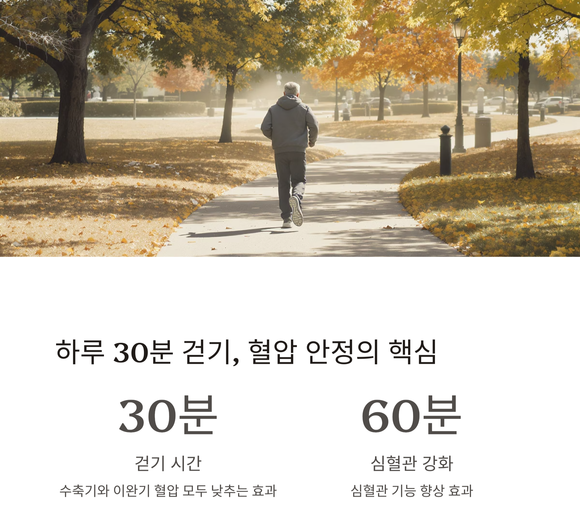 하루 30분, 혈압 낮추는 건강 운동 루틴 비법 공개