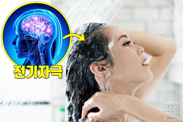 찬물 샤워 효과 찬물샤워 스트레스 우울증
