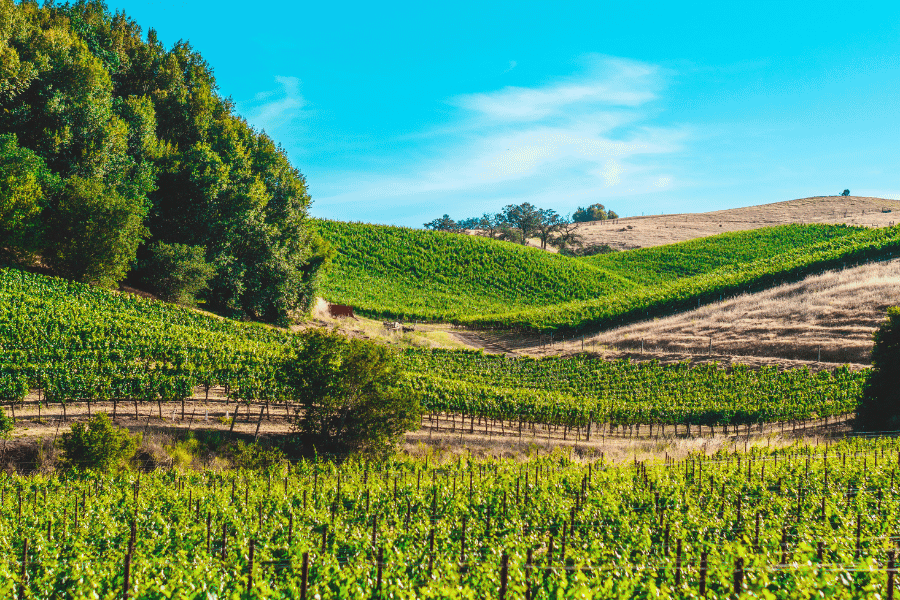 포르투갈 여행지 추천