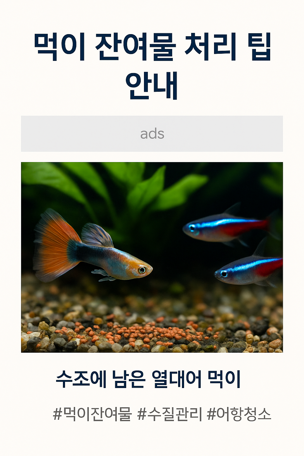 맑은 수조 안에서 세 마리의 열대어가 헤엄치고 있고, 바닥에는 빨간 사료 찌꺼기가 쌓여 있다.