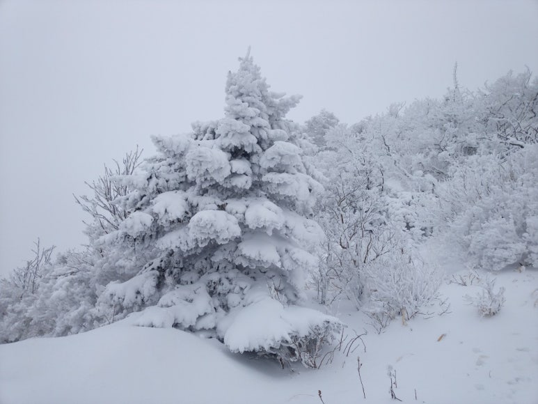 1월 산행지 추천: 눈산행지 좋은곳 겨울의 매력을 느낄 수 있는 산