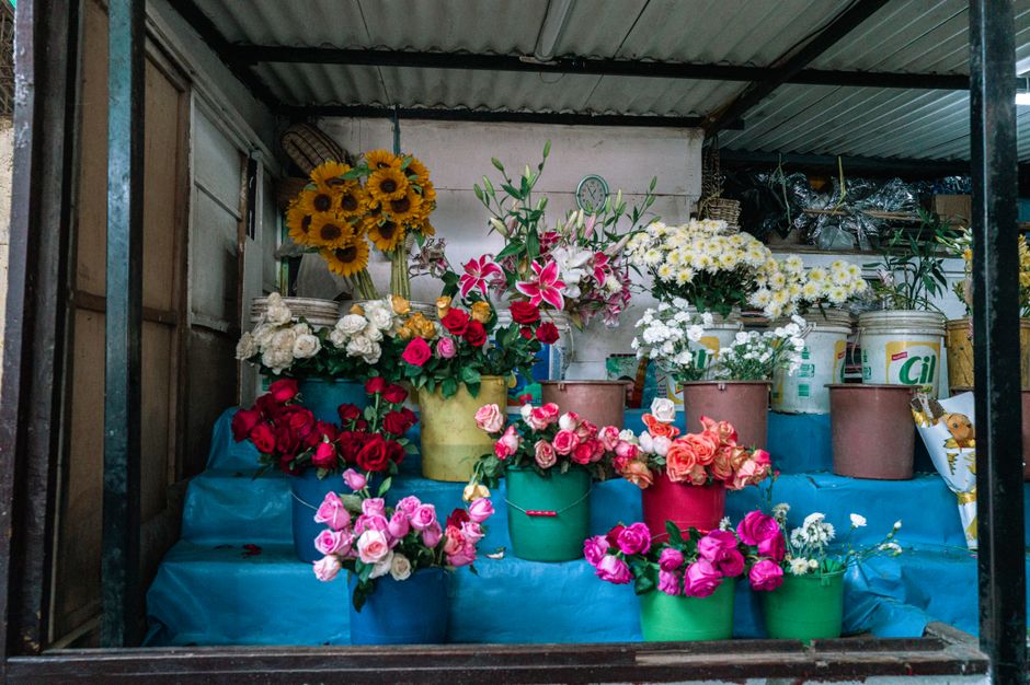 Colorful flower stall with a variety of blooms in Pacasmayo, Peru, showcasing a vibrant market scene.