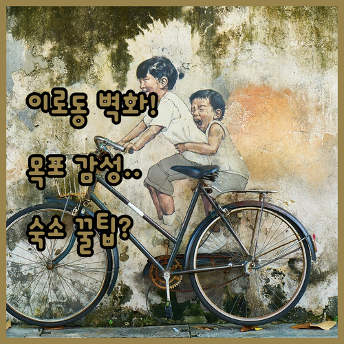 이로동 벽화 마을 탐방 코스 및 목포..