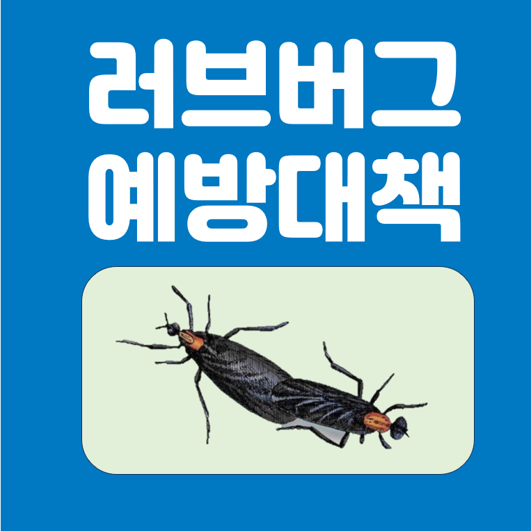 러브버그 예방대책