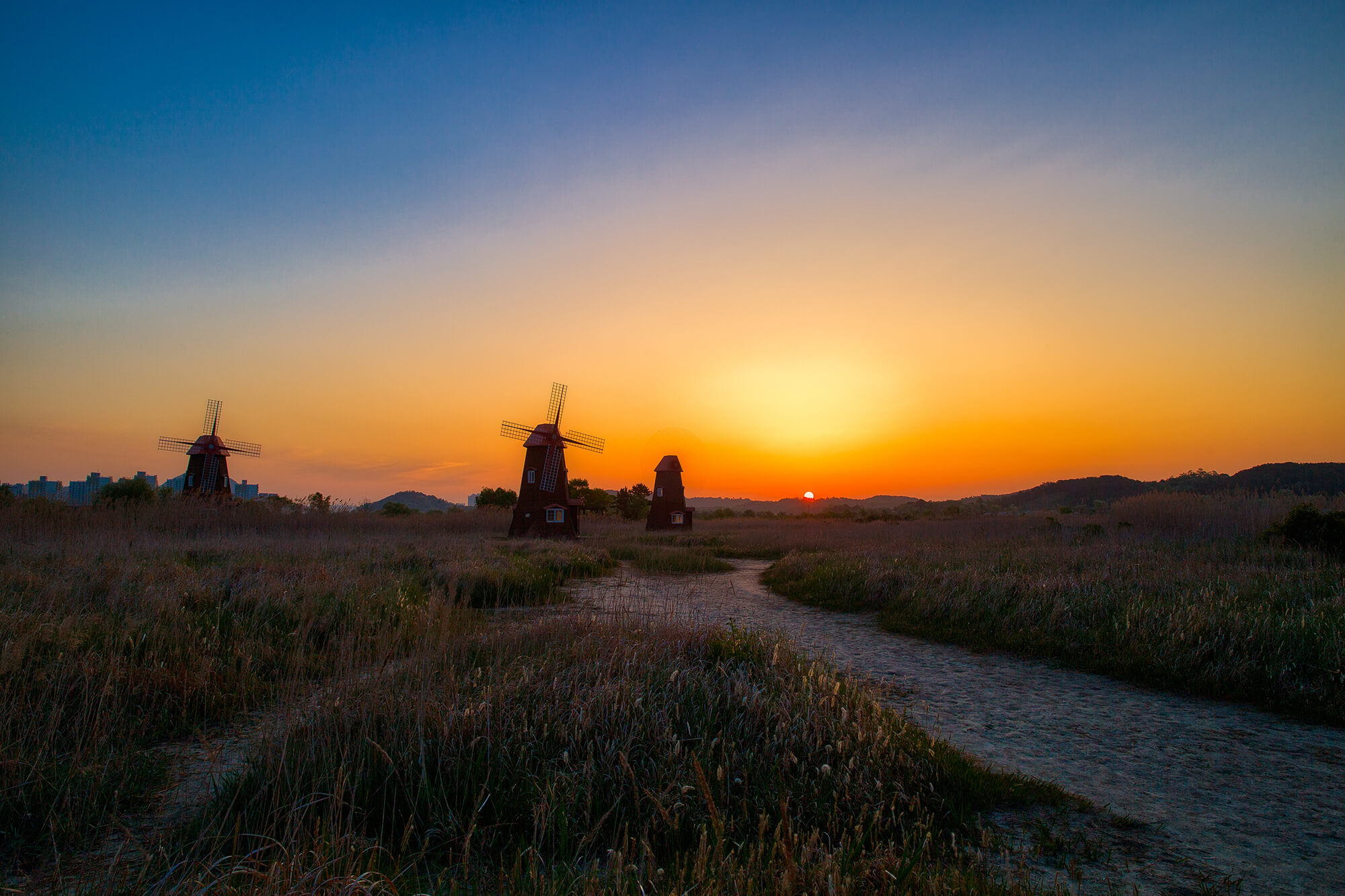 소래습지생태공원 여명7