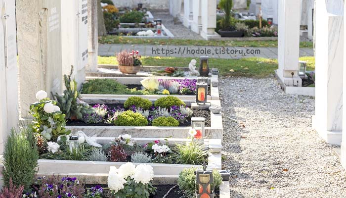 묘지 사진