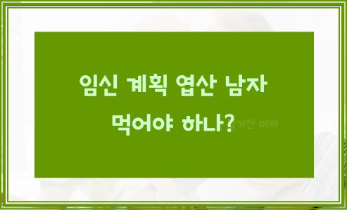 임신 계획 엽산 남자