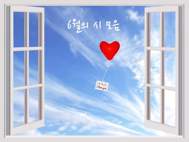 섬네일 이미지