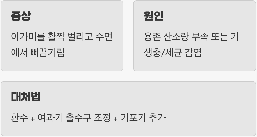 4. 아가미병 (아가미 벌어짐, 호흡 곤란)