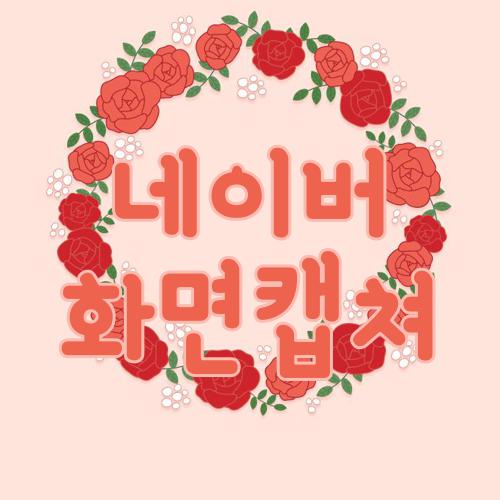 네이버 화면캡쳐