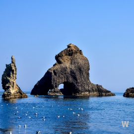울릉도 사진10
