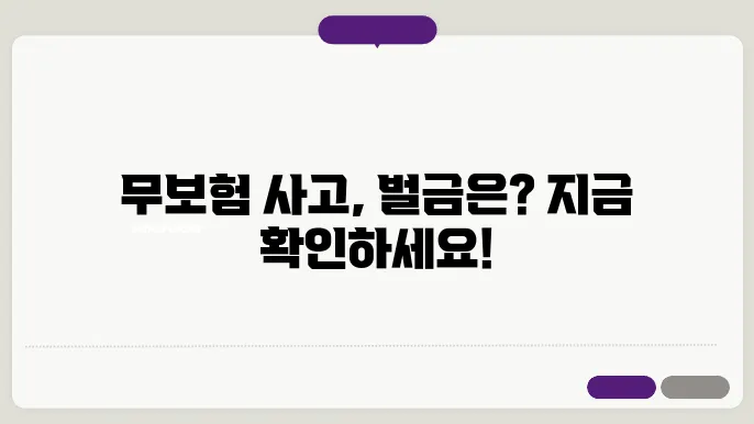 무본 접촉 사업 섬금은 얼마나 나올까요?