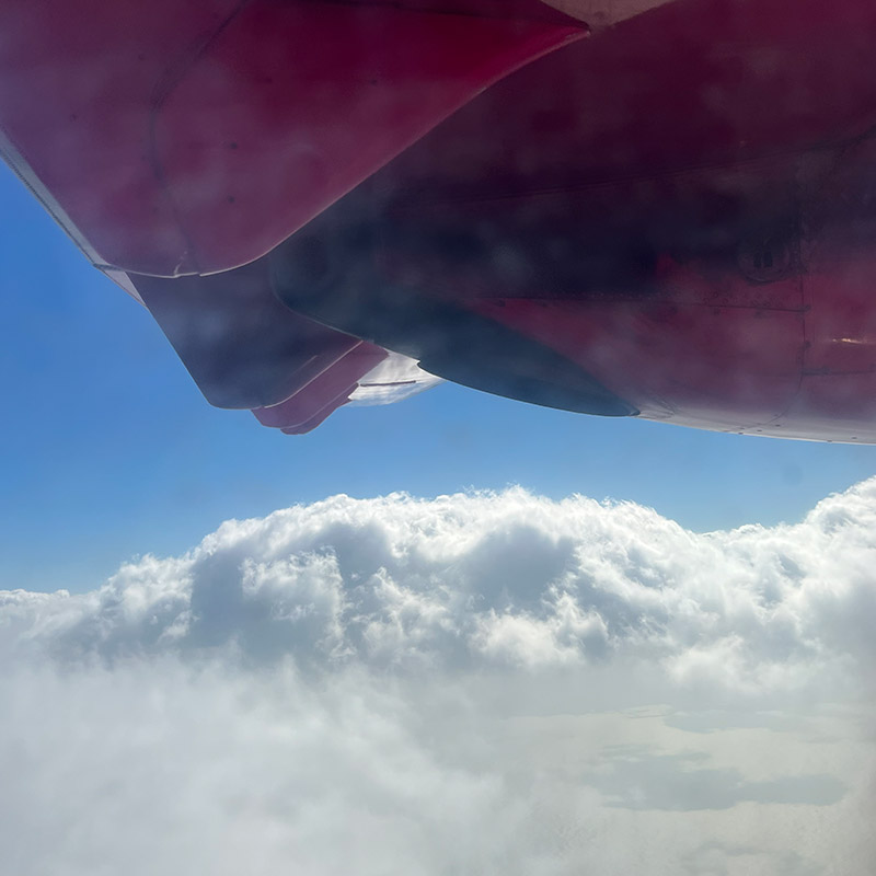 제주도-여행-일정