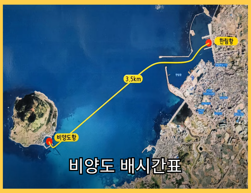 비양도_배시간표