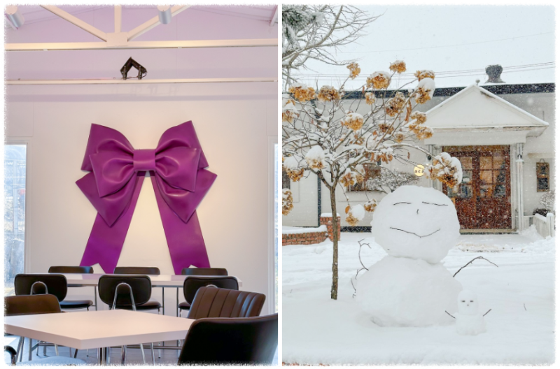 아이들과 반려동물의 천국 "카페 수디"