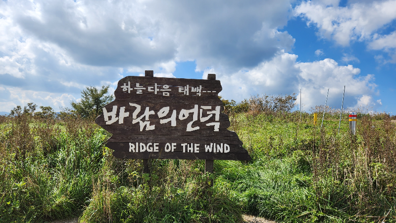 하늘다음 태백. 바람의 언덕이라는 푯말이 보인다.