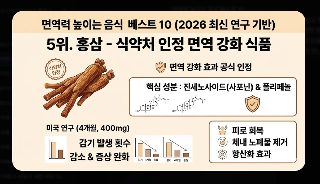 면역력 높이는 음식 베스트 10 [2026년판] 강화 식품 섭취법 및 생활 습관 총정리