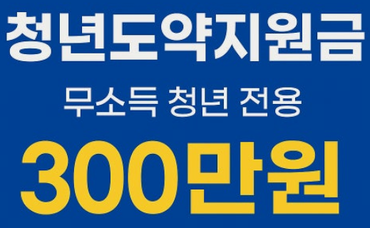 청년도약지원금 무소득 지원