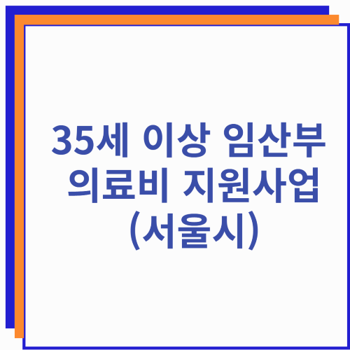 35세 이상 임산부 의료비 지원사업(서울시)