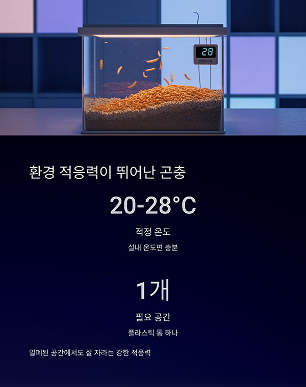 환경 적응력이 뛰어난 곤충