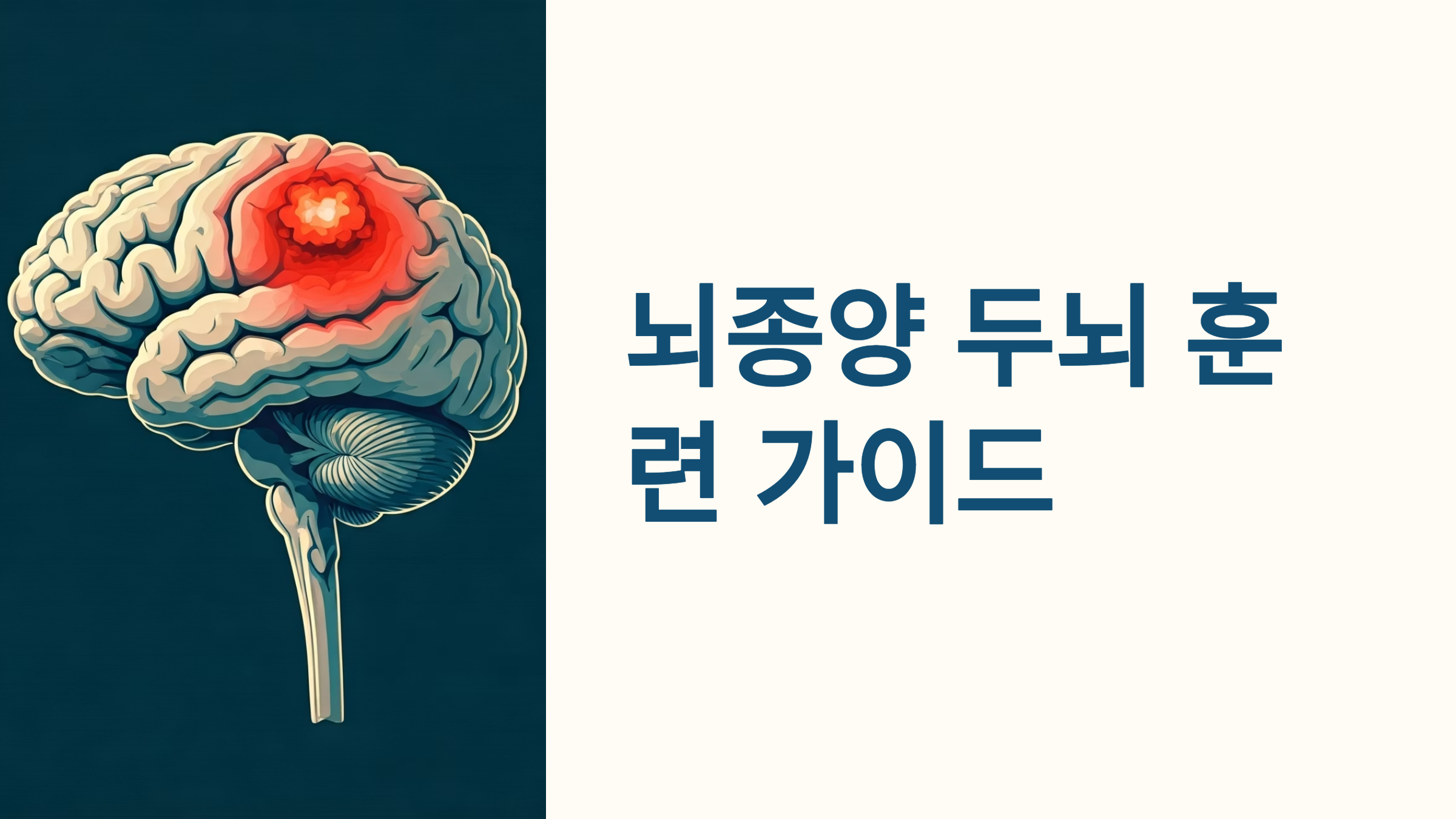 뇌종양 두뇌 훈련 가이드