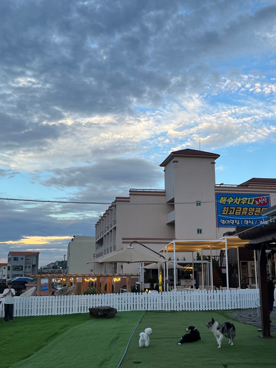 제주도 반려견 동반 맛집&amp;카페 : 동반 식당&amp;#44; 카페 추천