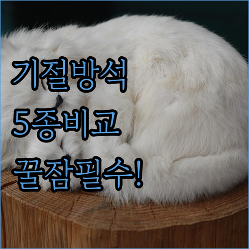 반려동물 꿀잠 아이템 기절 방석 도넛..