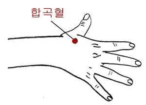 수양명대장경-합곡혈