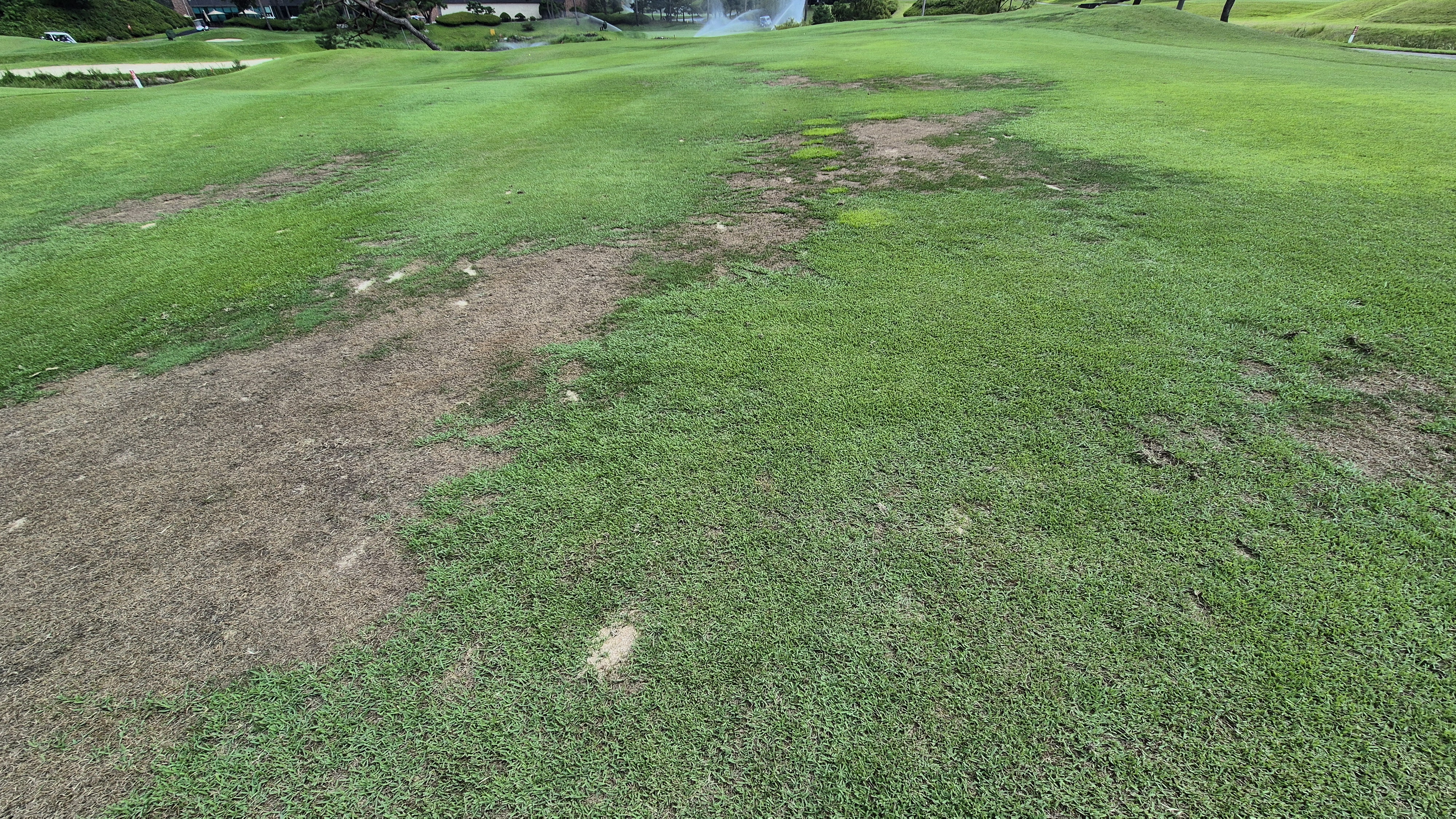 골프존카운티 천안 라운드 후기