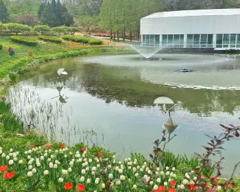 피나클랜드 불꽃축제 억만 송이 봄꽃축제_1