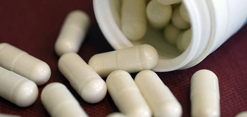 덴마크 유산균 섭취 주의사항