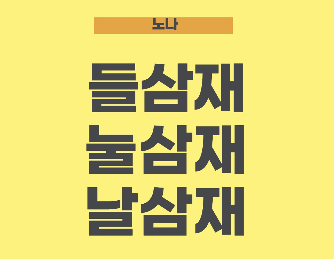 2023년 삼재띠