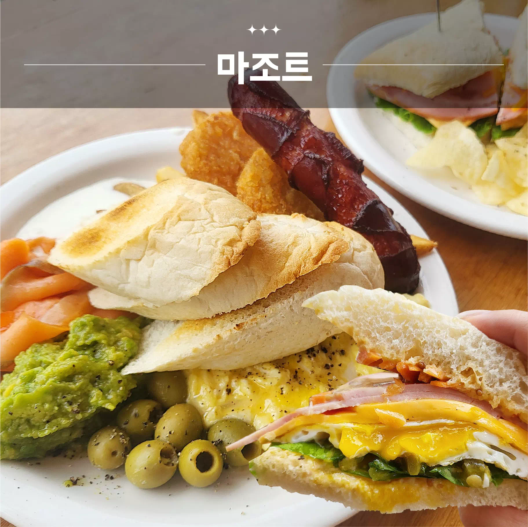 마조트 대표이미지