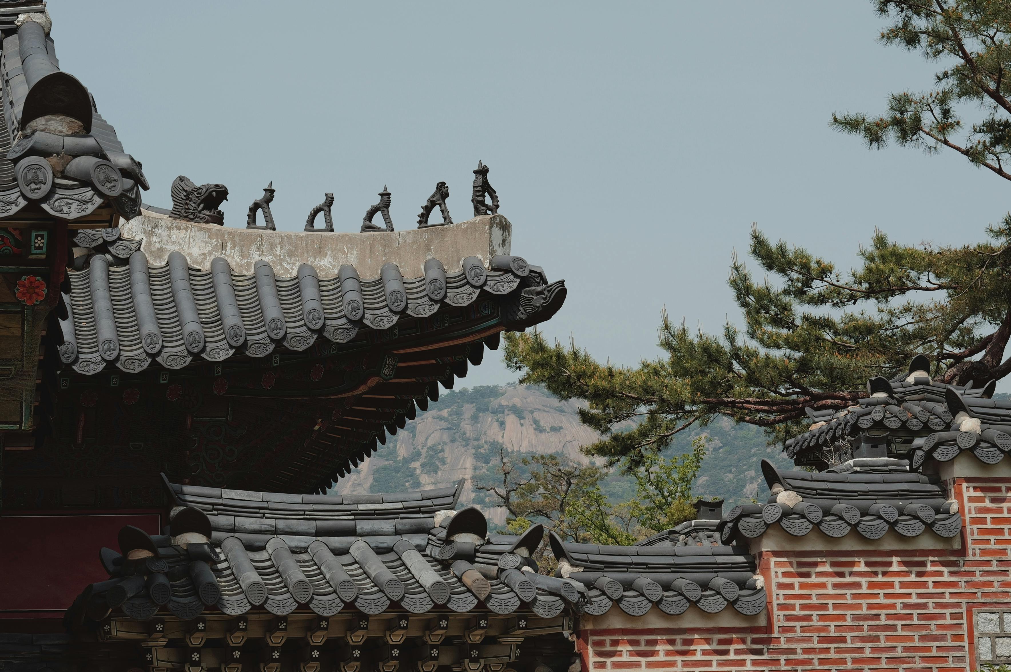 한옥과 소나무