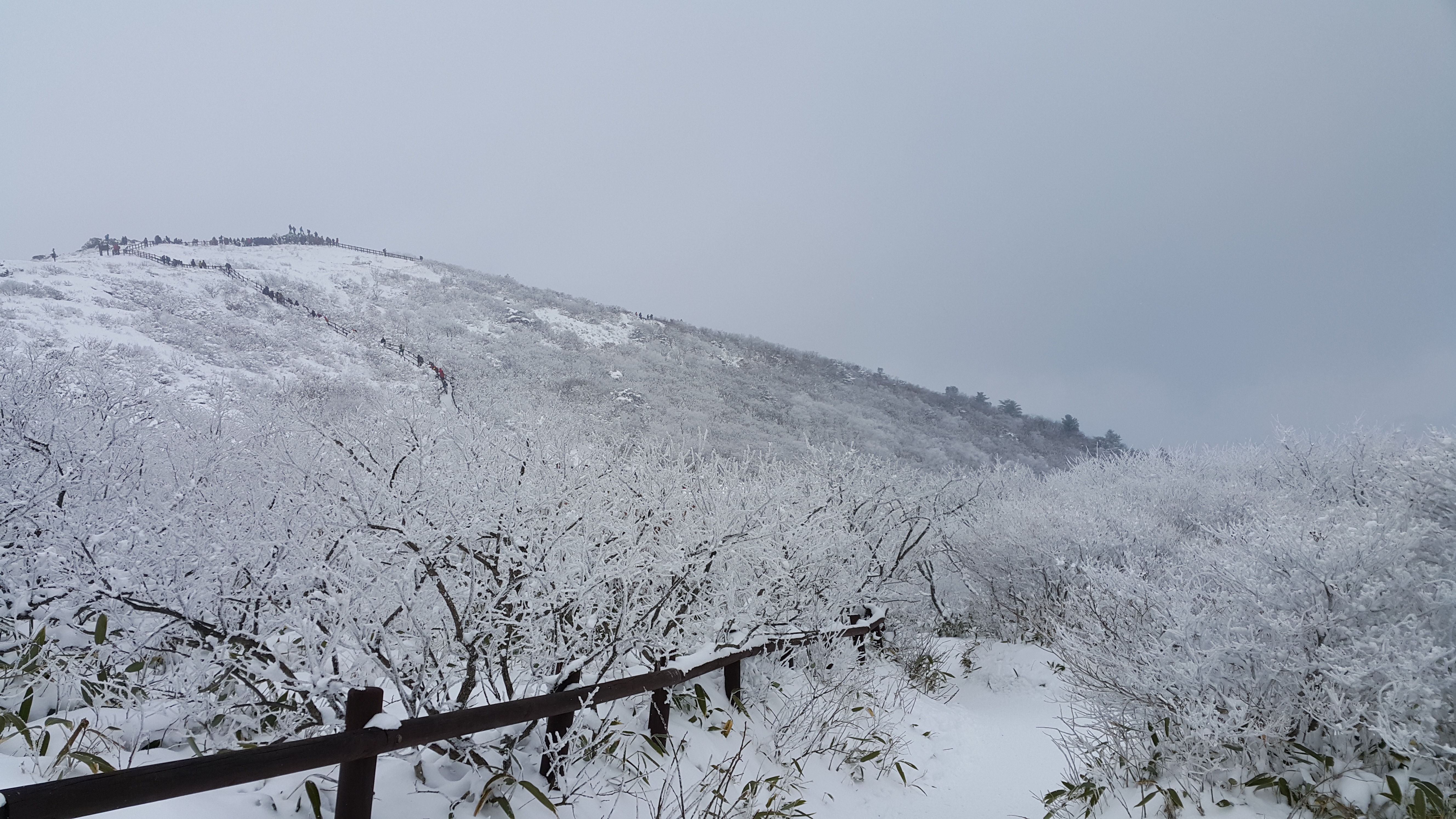 덕유산