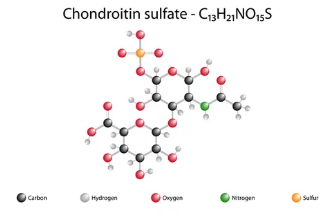 콘드로이틴/어도비스톡